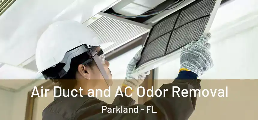 Air Duct and AC Odor Removal Parkland - FL