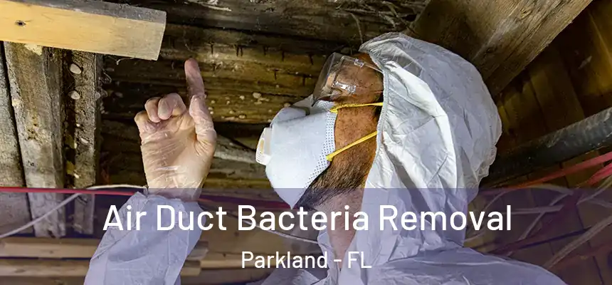 Air Duct Bacteria Removal Parkland - FL