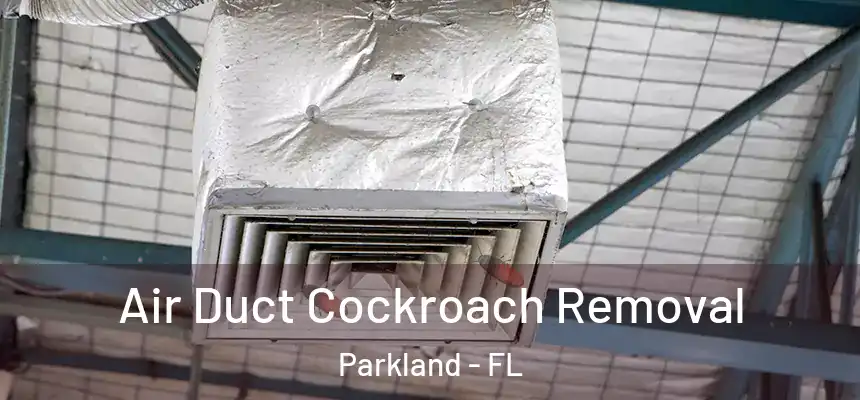 Air Duct Cockroach Removal Parkland - FL