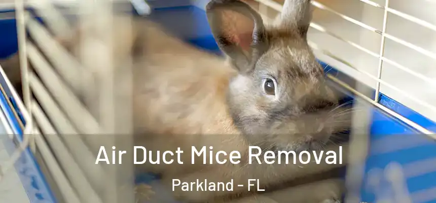 Air Duct Mice Removal Parkland - FL