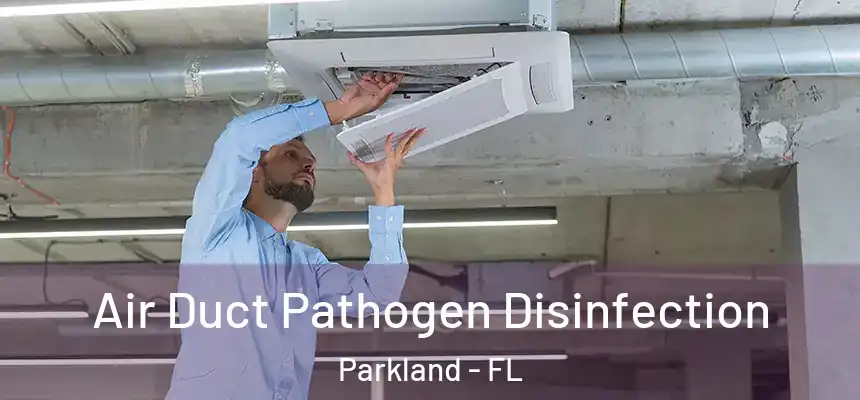 Air Duct Pathogen Disinfection Parkland - FL