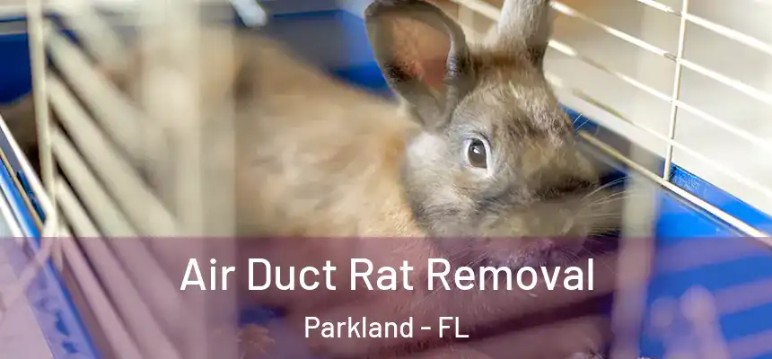 Air Duct Rat Removal Parkland - FL
