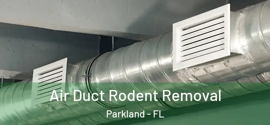 Air Duct Rodent Removal Parkland - FL