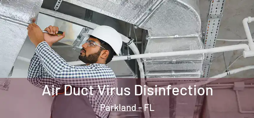 Air Duct Virus Disinfection Parkland - FL