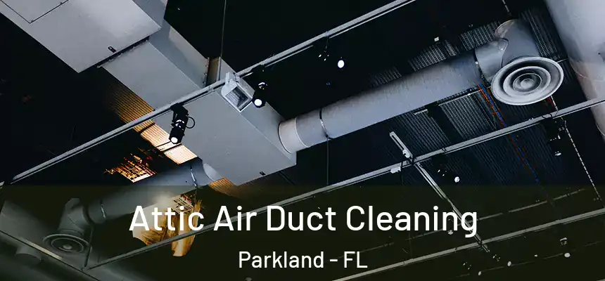 Attic Air Duct Cleaning Parkland - FL