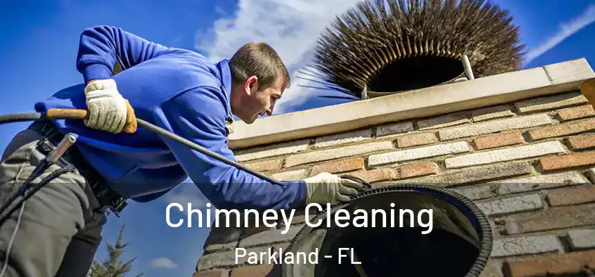 Chimney Cleaning Parkland - FL