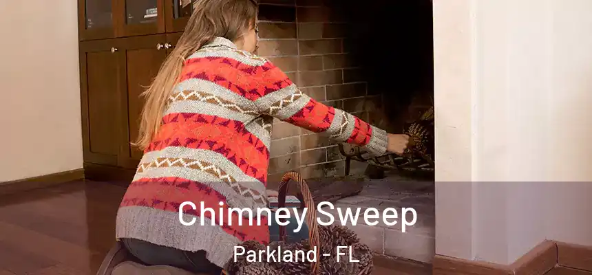 Chimney Sweep Parkland - FL