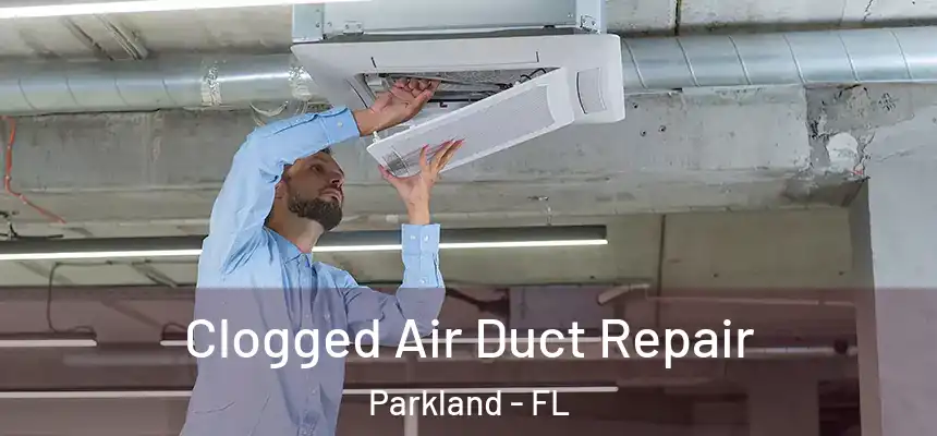 Clogged Air Duct Repair Parkland - FL