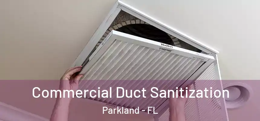 Commercial Duct Sanitization Parkland - FL