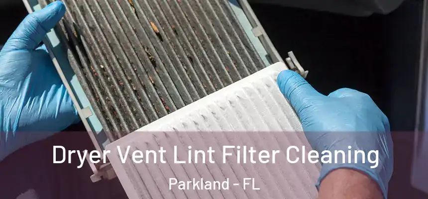 Dryer Vent Lint Filter Cleaning Parkland - FL