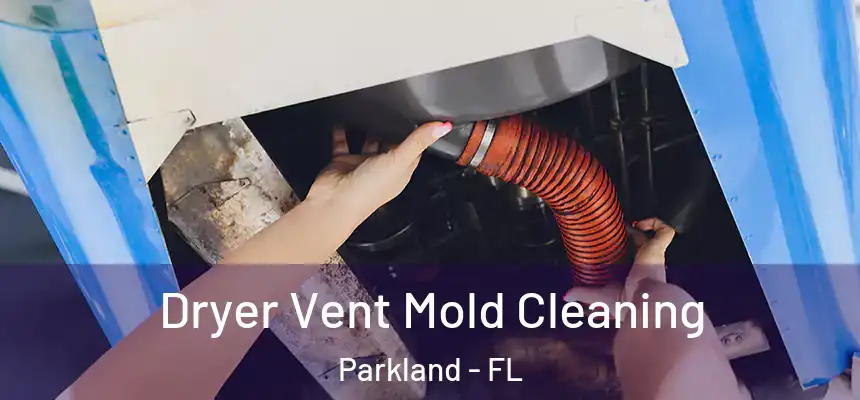 Dryer Vent Mold Cleaning Parkland - FL