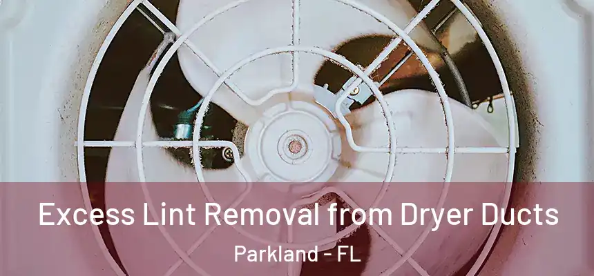 Excess Lint Removal from Dryer Ducts Parkland - FL