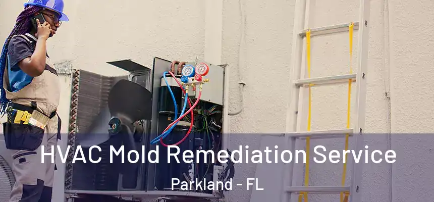HVAC Mold Remediation Service Parkland - FL