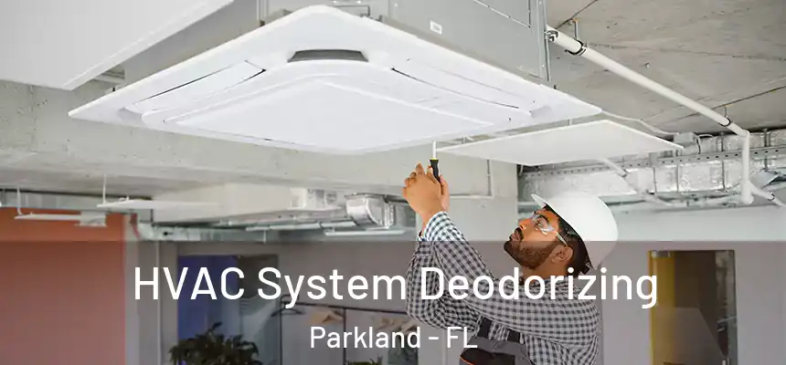 HVAC System Deodorizing Parkland - FL