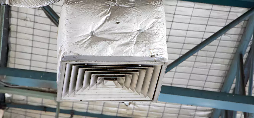 Our HVAC Mold Remediation Service Services in Parkland, FL