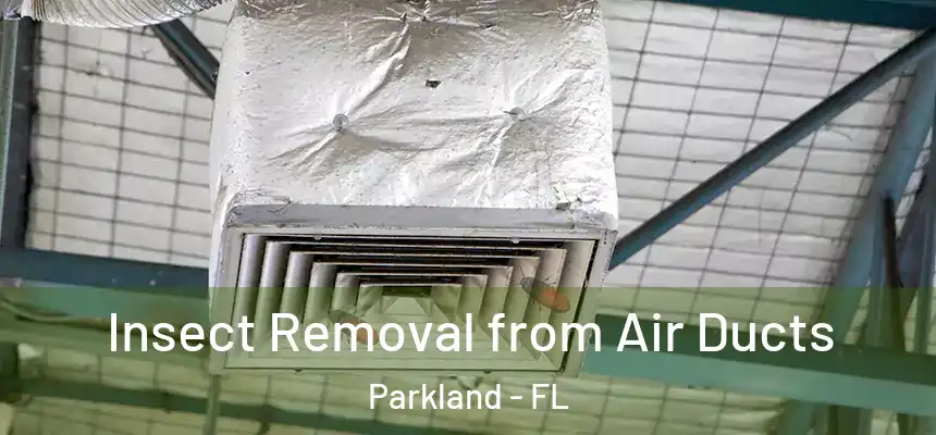 Insect Removal from Air Ducts Parkland - FL