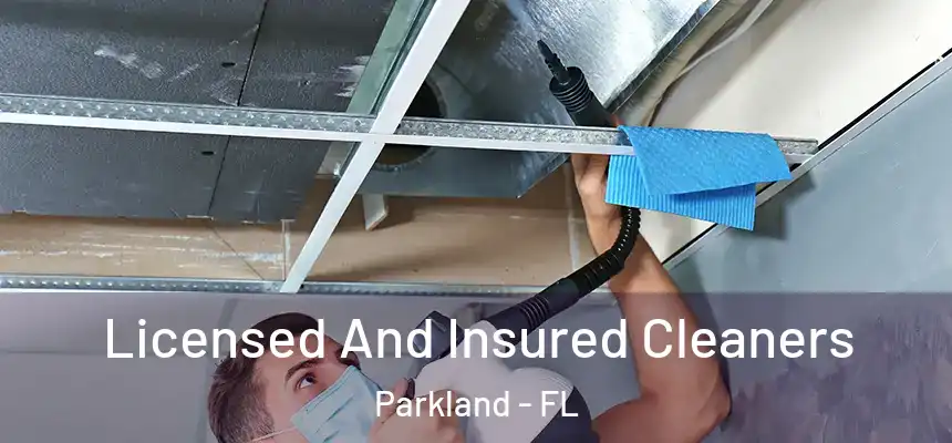 Licensed And Insured Cleaners Parkland - FL