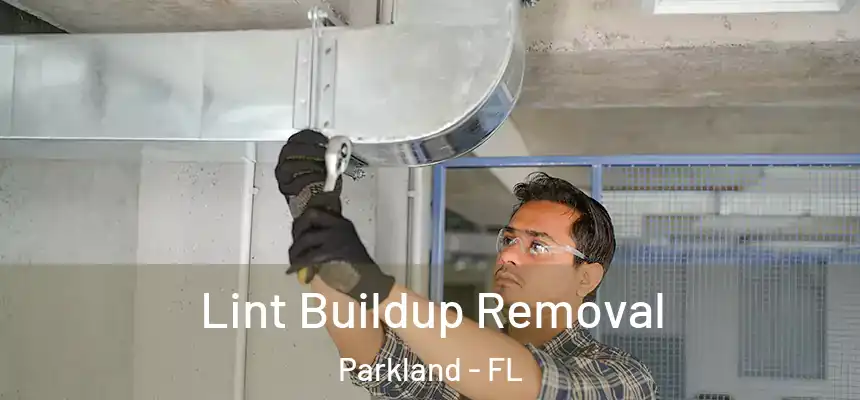 Lint Buildup Removal Parkland - FL