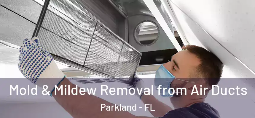 Mold & Mildew Removal from Air Ducts Parkland - FL