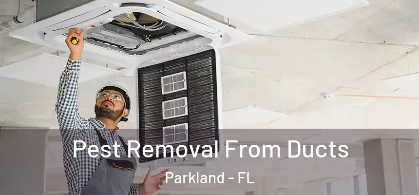 Pest Removal From Ducts Parkland - FL