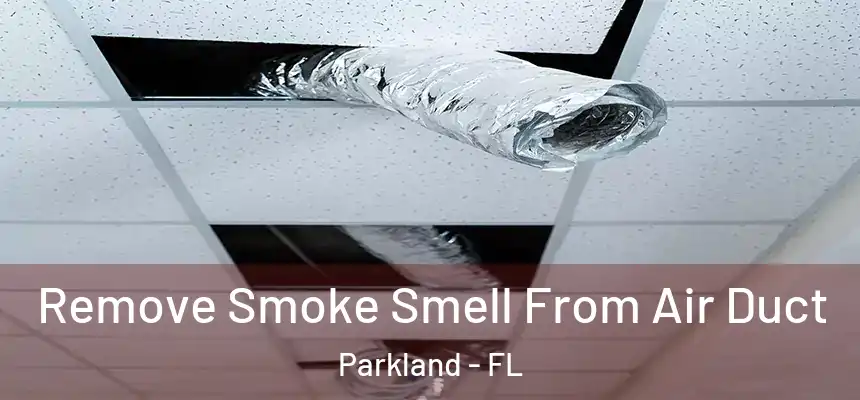 Remove Smoke Smell From Air Duct Parkland - FL