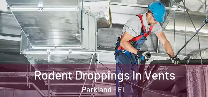 Rodent Droppings In Vents Parkland - FL