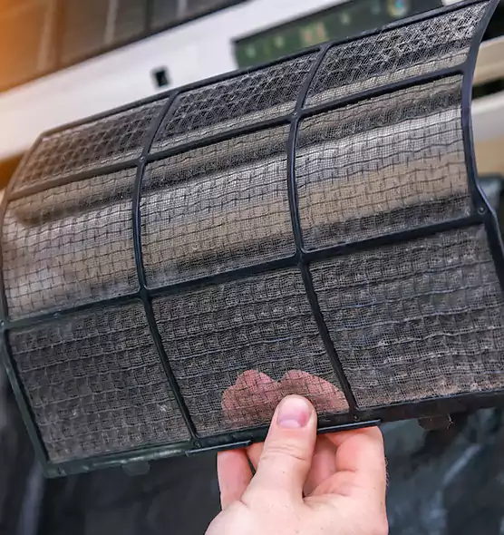 About Pet Dander Duct Cleaning in Parkland, FL