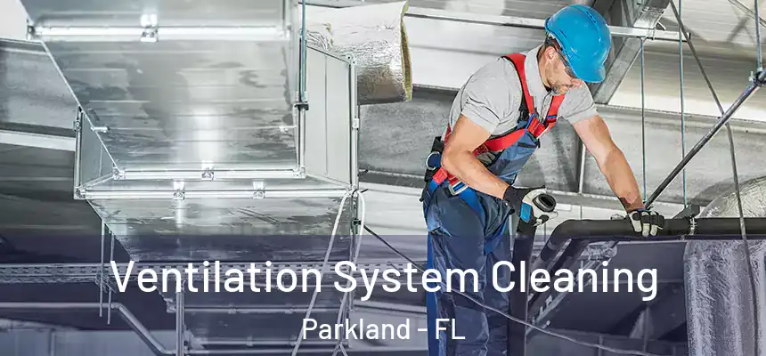 Ventilation System Cleaning Parkland - FL