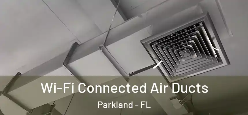 Wi-Fi Connected Air Ducts Parkland - FL